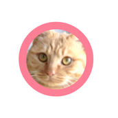 業務サポート@ストーリー