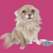 zizi♥