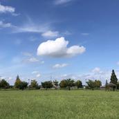 レイクツリーホーム設計室