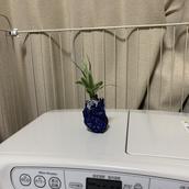 行政書士ひしぬま事務所