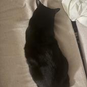 営業マンがつくる、リストやさん