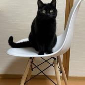 みお✱55✱
