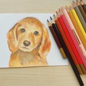 えむえむ イラスト