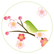 1chiyo