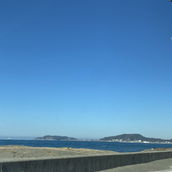 ayumi꙳