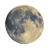 lunā__ design