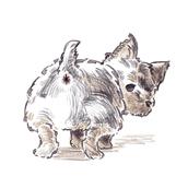 犬糞⚠︎体調不良につき返信遅れます