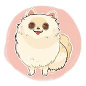 chiko_omochi