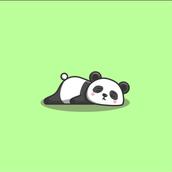 やさぐれパンダLv34