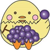 Hiyoko　未来研究所の研究員