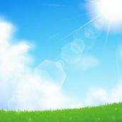 制度設計、DX、効率化、営業支援資料作成