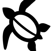 かめです。