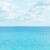 伊藤ちさと／Google広告・電話相談