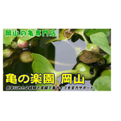 ヨコミゾ ヨシユキ