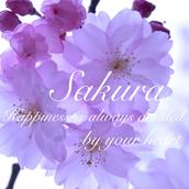 sakurairoさくら