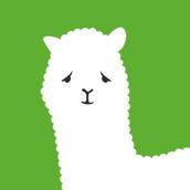 alpaca_tarot