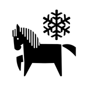 snow designs