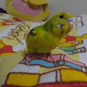 DH＠だいほう合同会社