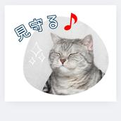 サポート講師　マイク