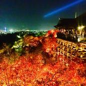 Hello Kyoto