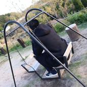 ごじまる│メルマガMyASPサポート