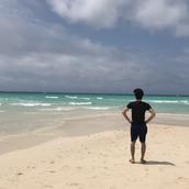 とむとーむ