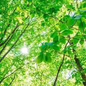 ココロ寄り添いサポート　ポカポカさん