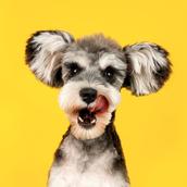 データドリブンフォロー