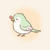 tsumugi__design