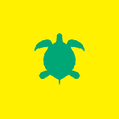 カメつ_kame2studio
