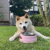 もり、