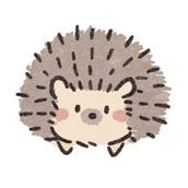 【お金の専門家】FP もっちー
