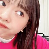 崖の上のおはな