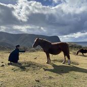 コーヒーミルク牛乳