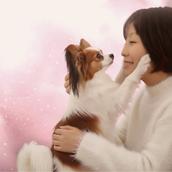 NANA　ペットと飼い主さんのヒーリング