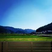 hosomike
