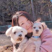 老犬シッター NATSUKI