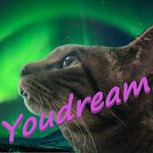 Youdream 猫様の奴隷