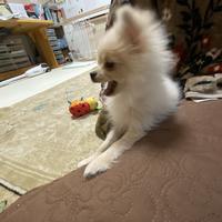 小林憲人さんのプロフィール ココナラ