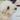 adog_design