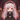 はせがわ紫乃　EC×AI マーケター