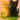 ふわり堂