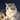 充架／月猫レター