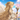 天音ゆみ｜マヤ暦×守護天使鑑定士