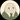 平社員あざらし＠3ヶ月合格の不動産屋