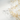 NOZOMICHI design
