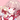 あかつき ひな