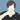 野田 WEBエンジニアWEBディレクター