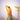 霊脈タロット巫琴
