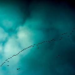 斎藤あかりさんのプロフィール ココナラ